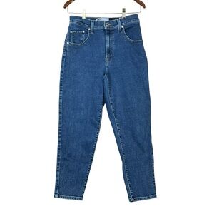 Levis SilverTab Mom Jeans Women Size 29x27 High Rise Waisted Tapered Denim EUC